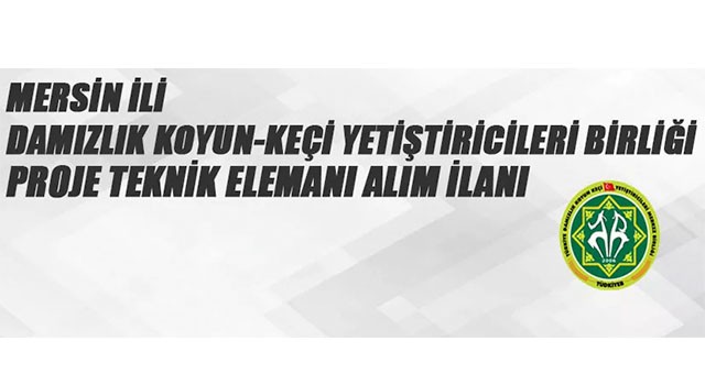 Proje teknik eleman alımı yapılacak