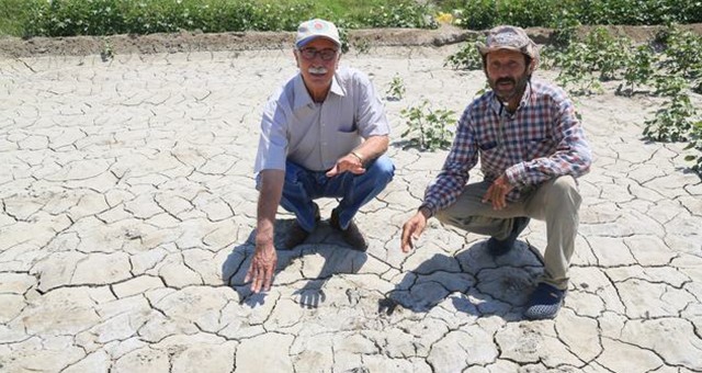 Milas Ziraat Odası Başkanı  “ÇORAKLAŞAN TARLALAR BARAJ SUYUNA HASRET!”