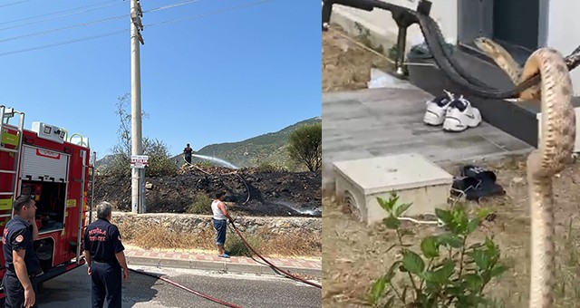 İtfaiye Ekiplerinden Hızlı Müdahale: Yılan Doğaya Salındı, Yangın Büyümeden Söndürüldü