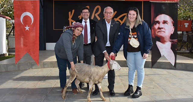 Milas ve Bodrumlu Kadın Üreticilere Koyun ve Koçları Teslim Edildi