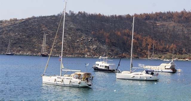 Küllerimizden Doğuyoruz Hareketi 5. Yılında
