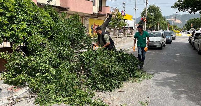 Milas Belediyesi Ekiplerinden Anında Müdahale