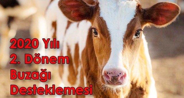 “2.dönem Buzağı Desteklemesi” Askı Listeleri Yayınlandı..