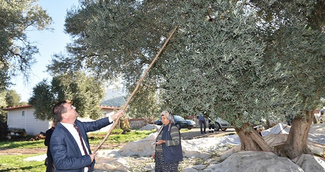 Başkan Tokat’tan Çiftçiler Günü mesajı