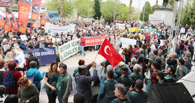 Zeytin dostları Milas'ta buluştu