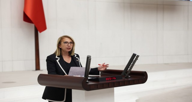 CHP'Lİ ÖNEŞ DERİCİ'DEN GÖÇMENLER VE SIĞINMACILARLA İLGİLİ SORU ÖNERGELERİ