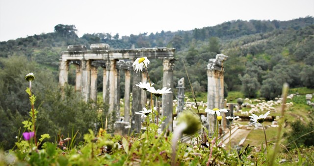 Kaymakam Böke’nin  Nevruz Bayramı mesajı