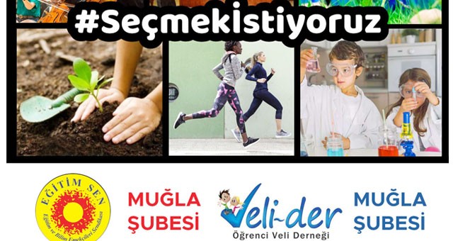 Okullarda ders seçimi konusunda