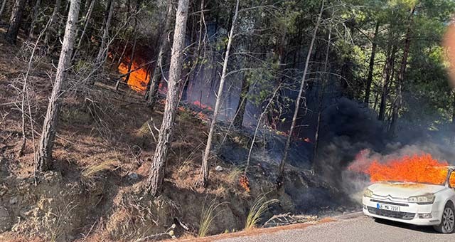 Araç Yangını Ormana Sıçradı: Ekipler Zamanında Müdahale Etti