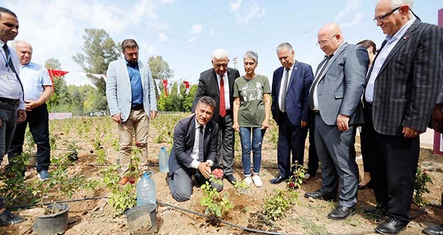 Tıbbi Bitkiler Koleksiyon Bahçesi hizmete açıldı