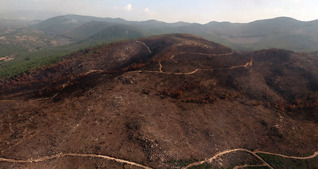 Geleceğe nefes vermek için 11.11'de hazır olun