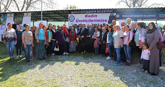 Büyükşehirden Kadın Üreticilere “Kıl Keçisi” Desteği