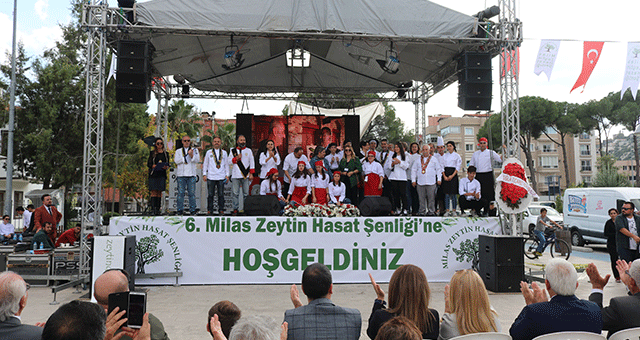 Zeytin hasat şenliği sona erdi