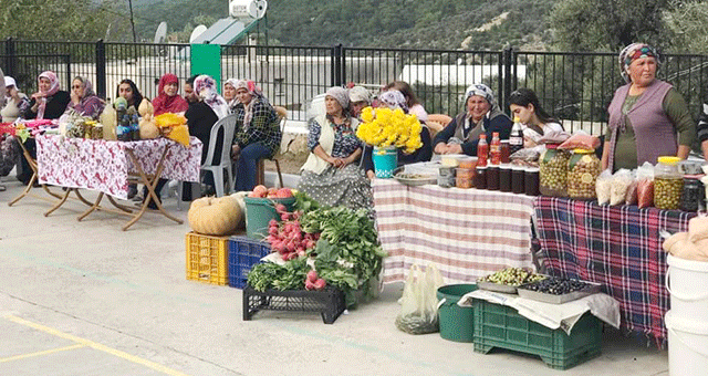 Kazıklı’da zeytin ve zeytinyağı şenliği