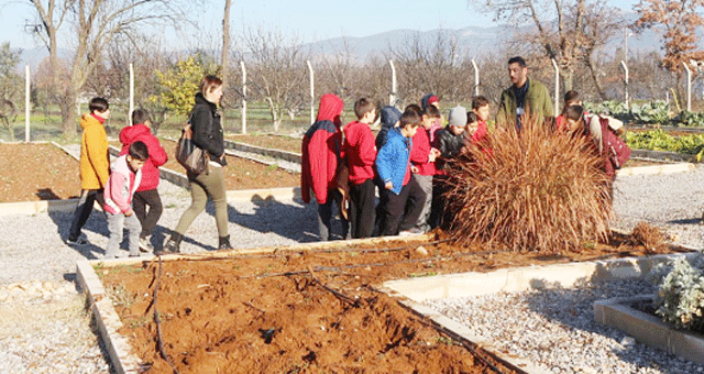 İlköğretim Öğrencilerine Muğla’nın Yerel Tohumları Anlatıldı