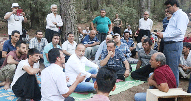 Milaslı arıcılar istedi, şurup yasaklandı