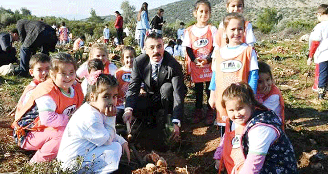 Özlem öğretmen anısına hatıra ormanı