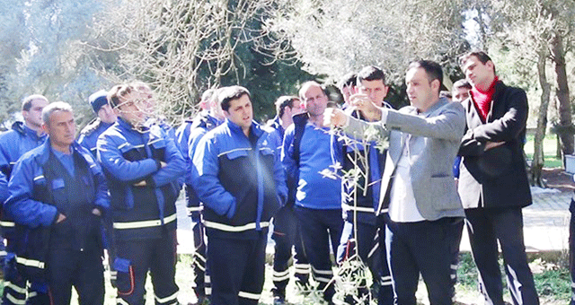 Büyükşehir’den ‘Zeytin Budama Teknikleri’ konulu eğitim 