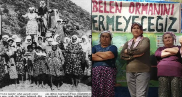 “Muğla, Milas, Bir Şirketten Büyüktür!”