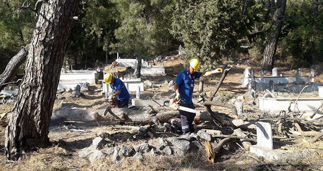 Mezarlıklar Temizleniyor, Odunlar İhtiyaç Sahiplerine Yakacak Oluyor