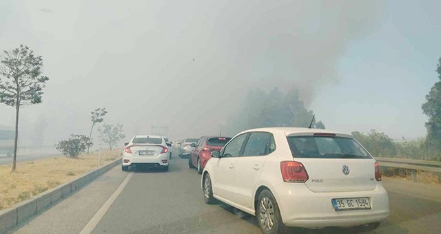 Yangın, Söke yolunu trafiğe kapadı