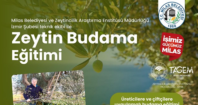 Milas Belediyesi Çiftçilere Uygulamalı Zeytin Budama Eğitimi Verecek