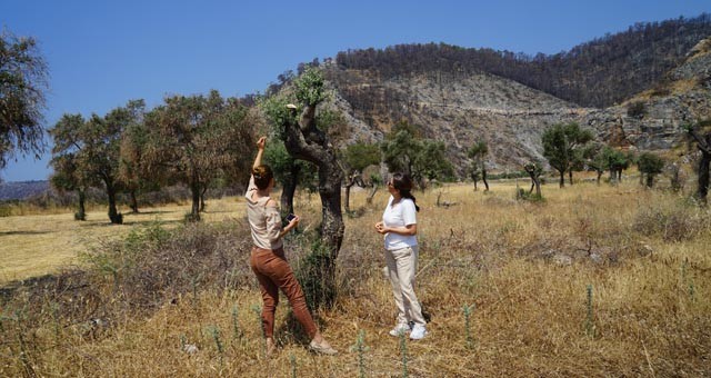 Kadınlar Kompost Yapımı İle Hem İsrafı Önlüyor Hem de Doğayı Koruyor