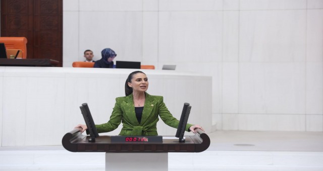 Muğla Milletvekili Gizem Özcan;