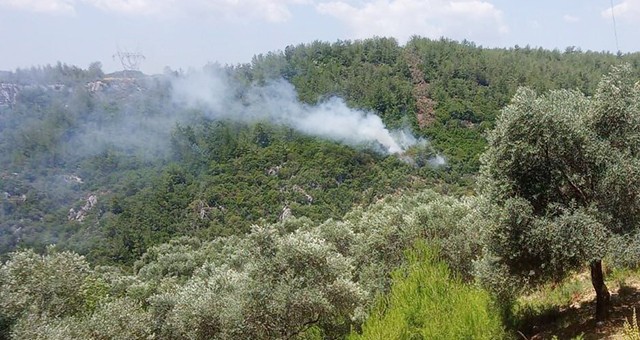 Tüm ormanlara girişler yasaklandı