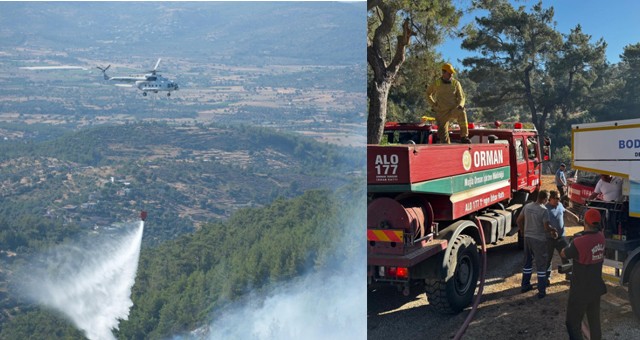 Milas Demirciler Mahallesi'ndeki Yangın Kontrol Altına Alındı
