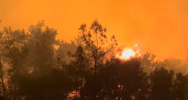 Kıyıkışlacık Yangınında 24 Saat Geride Kaldı