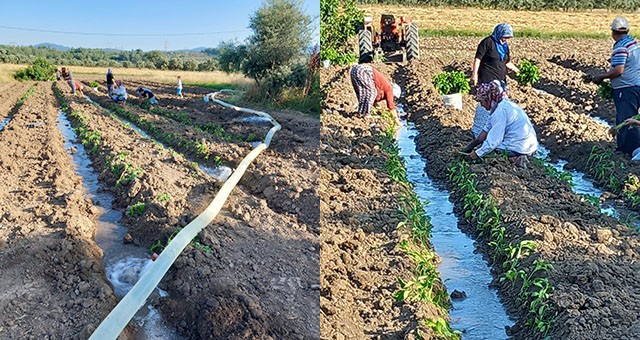 YK Enerji, Milas’ta bin dönümlük tarım arazisinin sulama sorununu çözdü