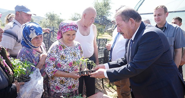 Milas Belediyesi’nden Üreticilere Fide Desteği