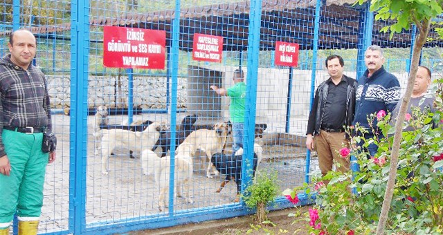 GÜLLÜK HAYVAN BARINAĞI HAKKINDA AÇIKLAMA YAPILDI