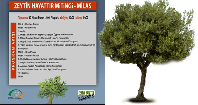 Milas, ‘Zeytinime Dokunma’ mitingine hazırlanıyor