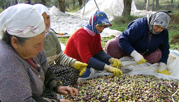 Son başvuru tarihi 26 Şubat 2016