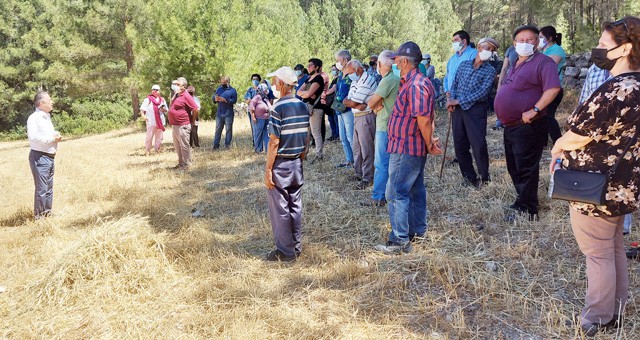 Muğla Milletvekili Suat Özcan: İKİZKÖY AKBELEN ORMANI HEM MUĞLA’NIN HEM DE TÜRKİYE’NİN SORUNUDUR!