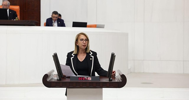 CHP’li Öneş Derici’den Kıyıkışlacık’taki Maden Limanı Projesi Hakkında Soru Önergesi