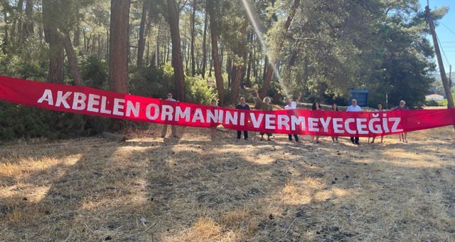 Akbelen bilirkişi raporunda iki uzman, doğa talanına rağmen ‘kömür’ dedi..