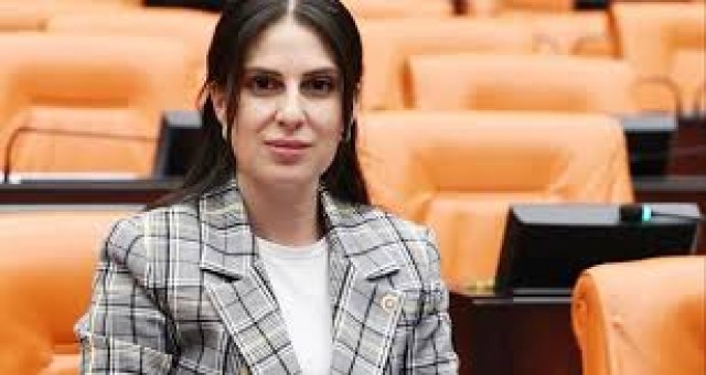 Özcan yangın sezonu öncesi uyardı;  “Enerji nakil hatlarının bakımı acilen yapılmalı”