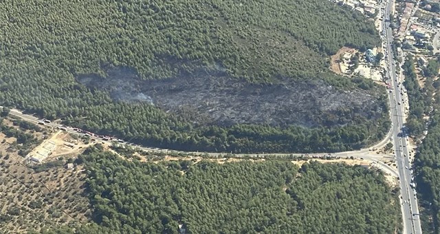 Güvercinlik’te Fidanlar Toprakla Buluşuyor