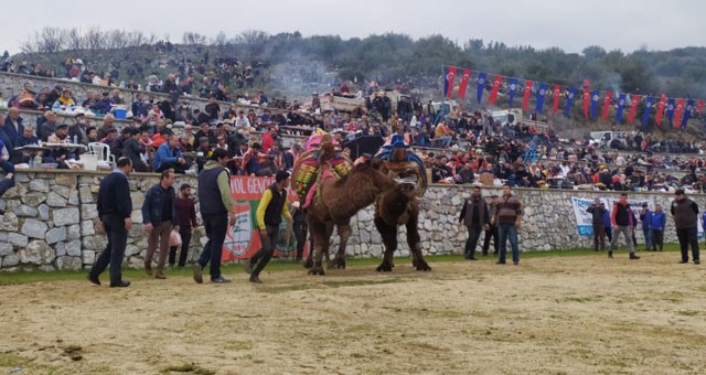 Develer Milas Belediyespor yararına güreşti