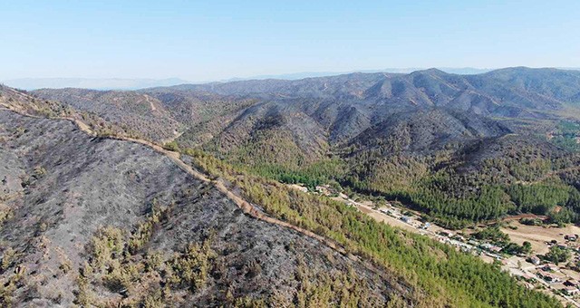 Marmaris’teki yangın akıllara kundakçılara verilen cezaları getirdi