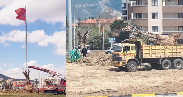 Akıllı kavşağa zeytin ağaçları dikiliyor