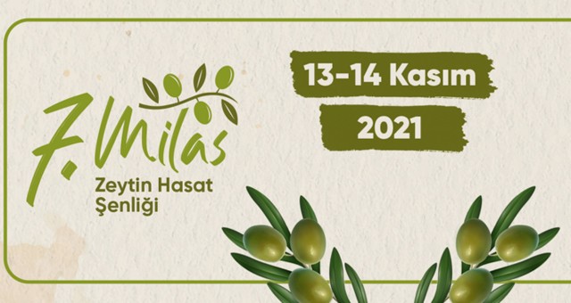 Milas 7. Zeytin Hasat Şenliği 13-14 Kasım’da yapılacak