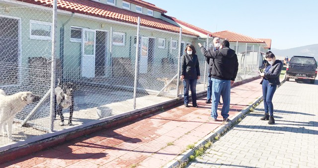 Geçici Hayvan Barınağı’nın iyileştirilmesi için ön çalışma yapıldı