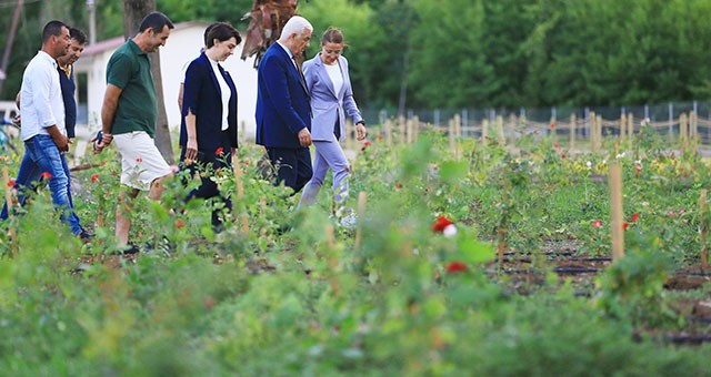 Başkan Gürün Tıbbi Bitkiler Koleksiyon Bahçesi’ni inceledi