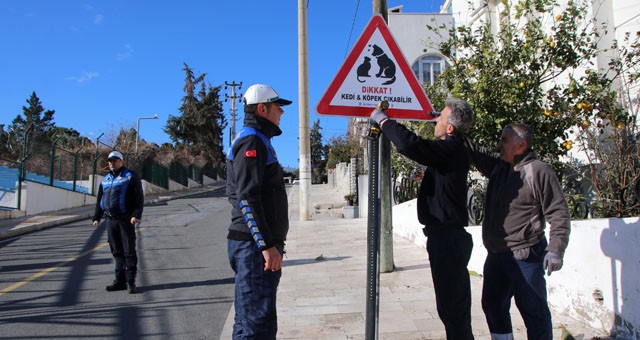 Bodrum Belediyesi’nden canlar için tabela