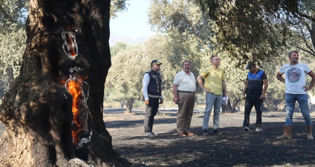 Milas Pınarcık ve Bafa’daki Yangınlar Kontrol Altına Alındı