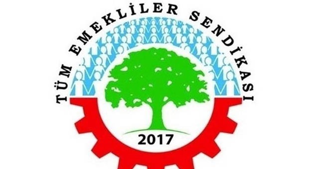 Tüm Emekli Sen: “DAĞ FARE DOĞURDU”